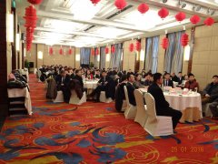 2015 積蓄力量，2016 大勝歸來